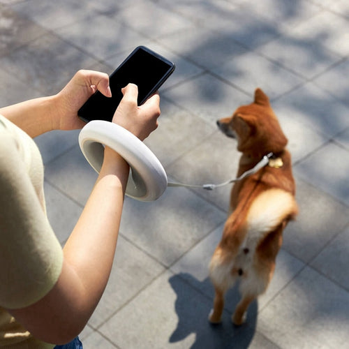 Retractable Dog Leash