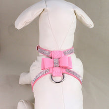 Load image into Gallery viewer, Dog Harness and Leather Leash