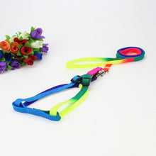 Load image into Gallery viewer, Colorful Rainbow  Collar Harness