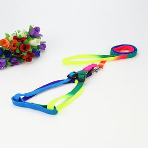 Colorful Rainbow  Collar Harness