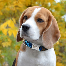 Load image into Gallery viewer, Puppy Collar