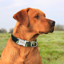 Load image into Gallery viewer, Puppy Collar