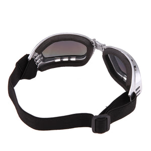 Cool Dog Sunglasses