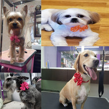Load image into Gallery viewer, Dog Bow Tie