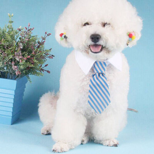 Adjustable Dog Necktie