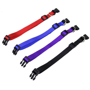 Heavy Duty Clip Buckle Collar