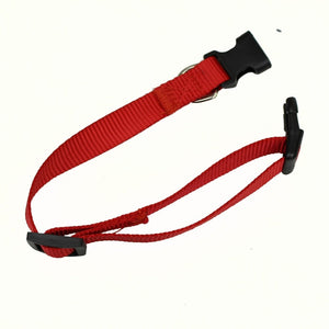 Heavy Duty Clip Buckle Collar