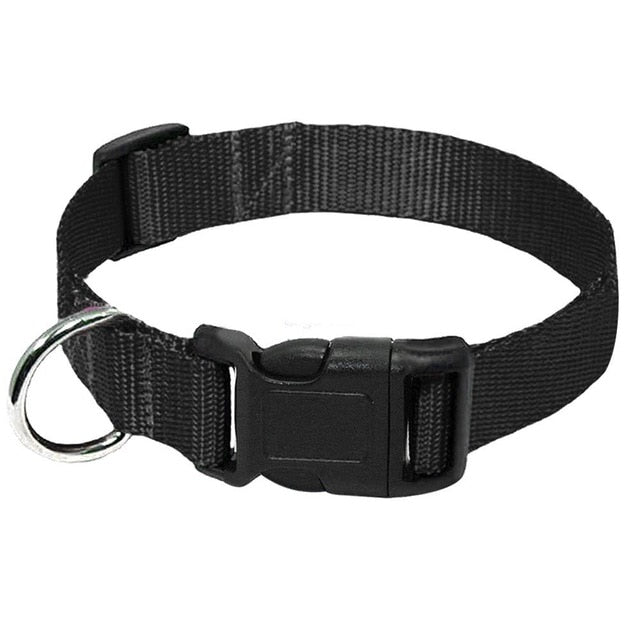 Heavy Duty Clip Buckle Collar