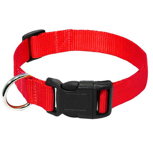 Heavy Duty Clip Buckle Collar