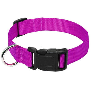 Heavy Duty Clip Buckle Collar