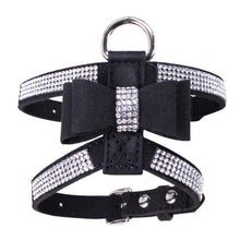 Load image into Gallery viewer, Dog Harness and Leather Leash