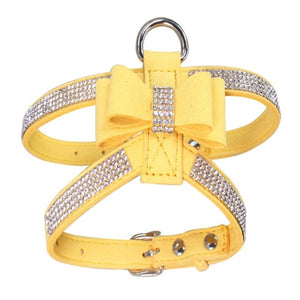 Dog Harness and Leather Leash