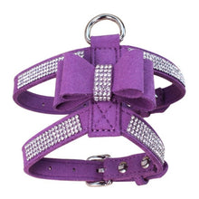 Load image into Gallery viewer, Dog Harness and Leather Leash