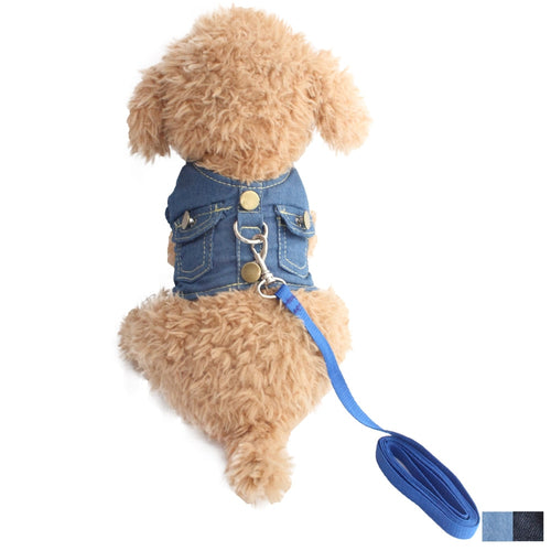 Dog Halter Harness