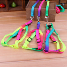 Load image into Gallery viewer, Colorful Rainbow  Collar Harness