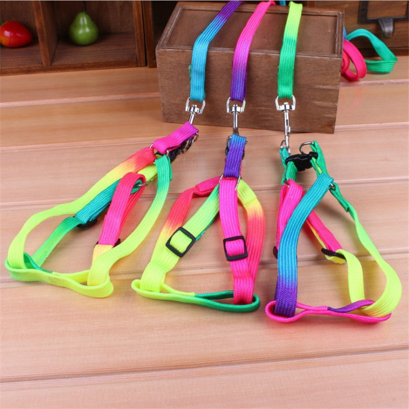 Colorful Rainbow  Collar Harness