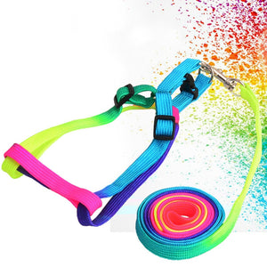 Colorful Rainbow  Collar Harness