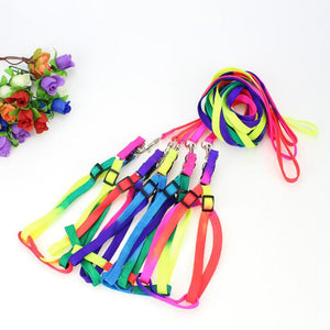 Colorful Rainbow  Collar Harness