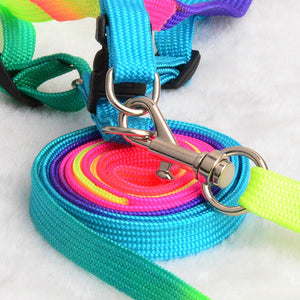 Colorful Rainbow  Collar Harness