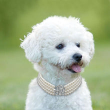 Load image into Gallery viewer, Pearl Dog Necklace Collar