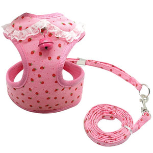 Soft Mesh Leash