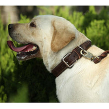 Load image into Gallery viewer, Genuine Leather Braided Collar