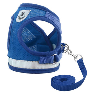 Harness for Small Dog