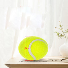 Load image into Gallery viewer, Dog Tennis Ball