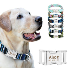 Load image into Gallery viewer, Puppy Collar