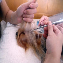 Load image into Gallery viewer, Professional Dog Grooming Comb