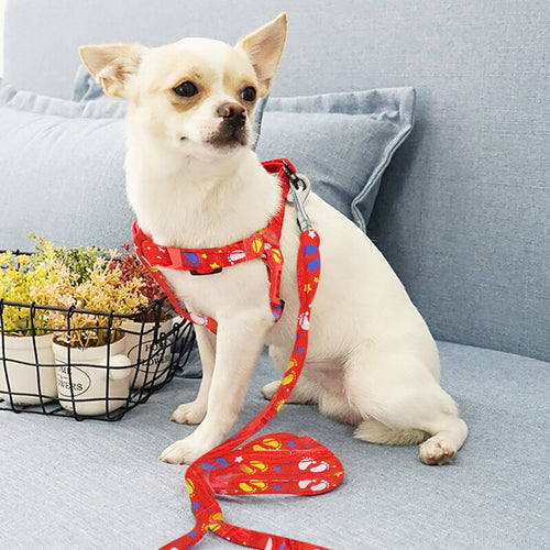 Small Dog Harness