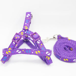 Small Dog Harness