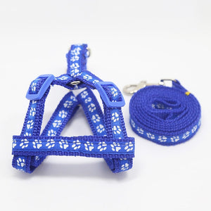 Small Dog Harness