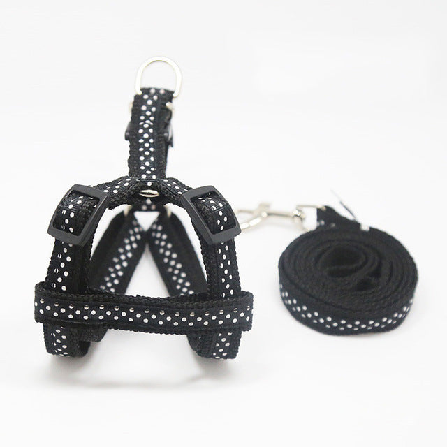 Small Dog Harness