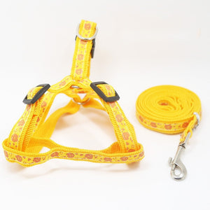 Small Dog Harness