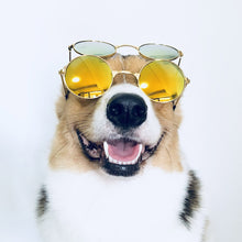 Load image into Gallery viewer, Fashion Eye-wear For Pet