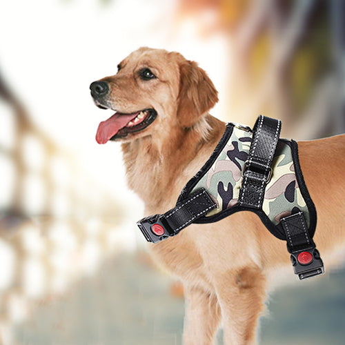 Soft Breathable Easy Control Harness