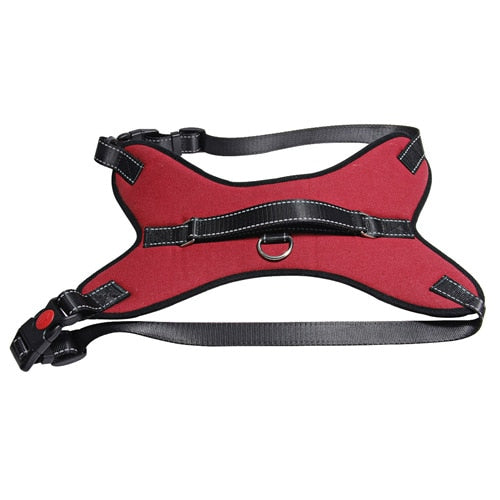 Soft Breathable Easy Control Harness