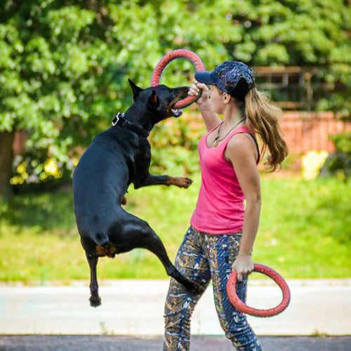 Dog Flying Disc