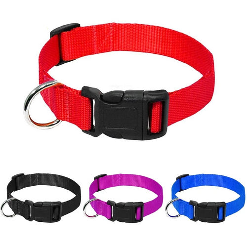 Heavy Duty Clip Buckle Collar