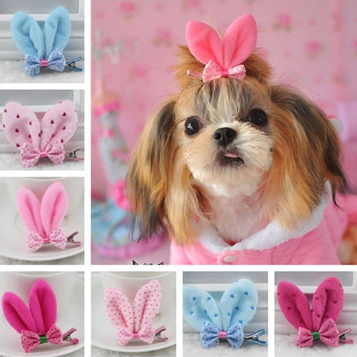 Pet Grooming Accessories