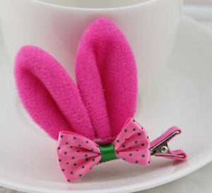 Pet Grooming Accessories