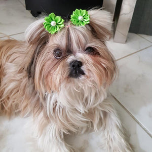 Puppy Hair Bows Flower with Pearl