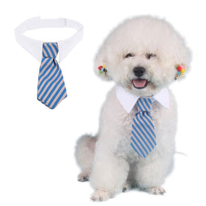 Adjustable Dog Necktie